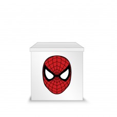 Spiderman Customized Box