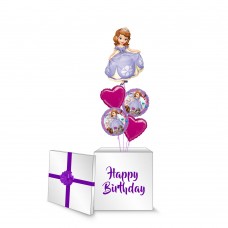Sofia The First Surprise Box