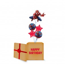 Amazing Spider-man Surprise Box