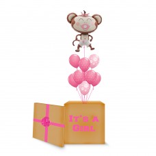 Pink Monkey Surprise Box